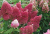 c108dd86d50b6b99116acdcf835631ed.png