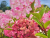 4bdfd6af8ef7059d71d6ffc41d75266e.png