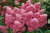 5e5c97f4078891ba2fc8b2c9356cc4a8.png