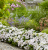 a47176f0de0f0d98aefba9a28d27c7b2.png