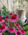2caf6257ec2a5a562f29730bb8aaee72.png