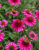 4898d0c34bc77e51e349941a29fd644a.png