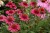 f581ab779dae957d78b8030d867486f0.jpg
