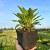 b2edef584a37ba1209b82cb12fbb7726.jpg