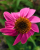 b8f3f6642a1bcfbc0282235f3849906a.png