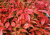 51b47b2d4566ccce51bc1ab492c8cdd2.png