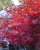 ef599f2502f4a1dbf4cbc1aebcc49adf.png