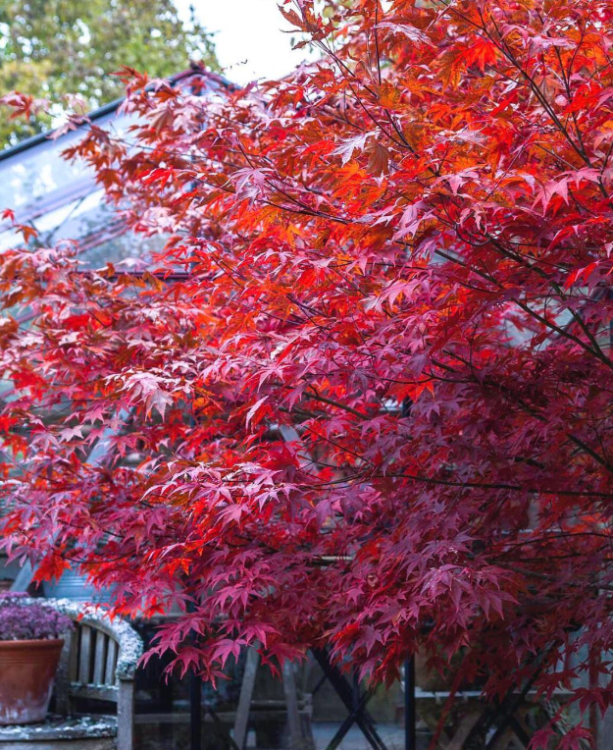 ef599f2502f4a1dbf4cbc1aebcc49adf.png