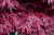 c94ce503749382c6b83ba80e291e947d.png