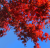 3f39f56c19e945056dde31375ab3de69.png