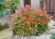 5d71619a58ebc7280d58bdf8a0333240.png