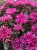 e60d2aba7c987679f2393913bfc92cbc.png