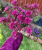 b51d20f7ce448f4367097f669a0f4480.png
