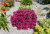 785efdffe40b16d499bb18c28f7aa577.png