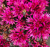 3d824125d845a0add287054c0958f769.png