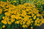 8e1ffdadbc55ae6294ac27158c053169.png
