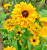 50e0287baa0cd09edd92985f0cb54bee.png
