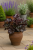 690b4b3e1e5f17f4e21f8a3890e1be1a.png
