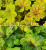 fd3ba663af747bdb8ec7ed1099e2e72a.png