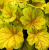 eb0fa45c4601a504448c4418b373bd07.png