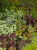 6be51d92df1b14e05e4d89b514566176.png