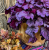 15244a741efd9d8bc3c6bcd91c79fabb.png