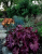 c41bacc5120792a431be0270bc90bf97.png