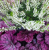 38745aeded46f6208bdec1c820bfe147.png