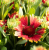 6d74d680b8ace054c13ffbf63692ca53.png