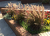 ed2502ef13aa6e2bd75ba968c150c13a.png
