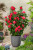 f40e10b289b41781778be7ecd943ffd2.png