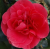 965ef98b2b7020b9488ee8f06d1d596a.png
