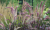 4625c9f7946f1bcc2e009f6dee3e4593.png