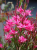 c54fcd40db7fcfe5b53316c91827a54a.png