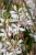 820d793992ced944e65010c778927dcd.jpg