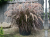 f54fe8e88ee89780e1694a256478dffb.png