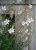 78a32780846a76e564e418c926f640c3.png
