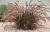 86a00aea1b11793290e493431932a821.png