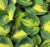 cb59d2f2affc893ef9955caeccdb6cd0.png