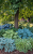 7533a272cf84c1413ed5003adf23b7b7.png