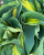 3094edc6e57d0fa3701e8f51f12dbfb8.png