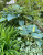 41766d7afd015efdaf6cd7c773cc4d8f.png