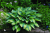 32183ee8b400a6b6cd584c3ce3954cad.png