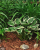 b0dcbdc703d29c4253b079cccfbdb040.png