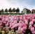 054a41156b566242ff056db14e057f70.png