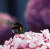 b16e6e45edf73e482323e6a26ac11f5b.png