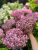 511e10fa737dfcfb71c8687dbe104502.png