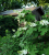 f6616bfda26b70bc6ad4f5096de4e195.png
