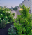 d9fa74f0b9d8daf8a95c8a4a521483a6.png