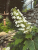 441b43ba48af9049e8ca4acbf8a3387b.png